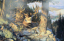 Crest of No-Tellum Ridge
